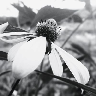 MoniKa20042038's profile picture. 