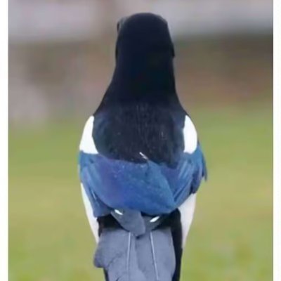 421N13vRFuKmile's profile picture. wow you're be 31$