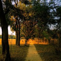 Sudeep Kumar (@sudeep_iimc) 's Twitter Profile