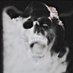 Darkwell Poetry (@darkwellpoetry) Twitter profile photo Darkwell Poetry (@darkwellpoetry) Twitter profile photo