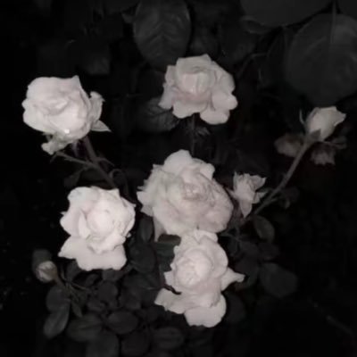 jHyKBLJq3J26243's profile picture. 