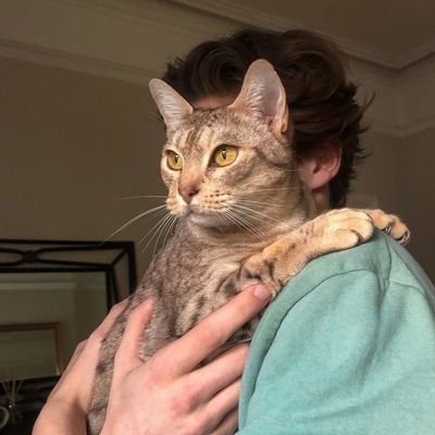 itsss_sika's profile picture. 𝑪𝒐𝒑𝒚 𝒘𝒓𝒊𝒕𝒆𝒓 ✍🏻