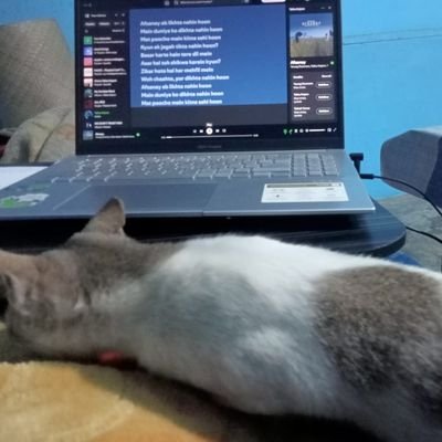 guljar7865's profile picture. 