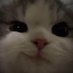 noah64113357 (@noah64113357) Twitter profile photo noah64113357 (@noah64113357) Twitter profile photo