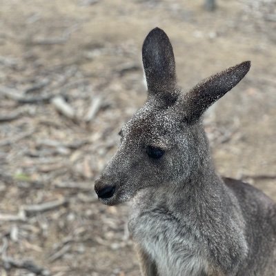 mxxmimi's profile picture. Jay Sean stan account ❤️