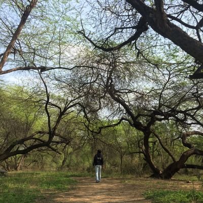 Sarthaknerd's profile picture. Giggle at a funeral