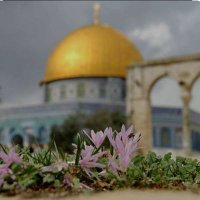 Gülseren Esmer (@glsrn_esmr) 's Twitter Profile