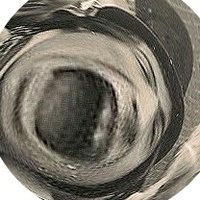 The Royal Irishman (@shortboxjb) 's Twitter Profile Photo