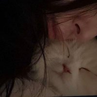 ميلو🎖️ (@la_uii) 's Twitter Profile