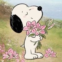 ✮; (@asvetsedikush) 's Twitter Profile Photo