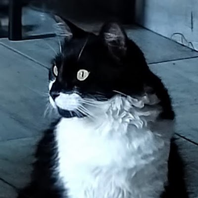 MarquezMax80336's profile picture. 
