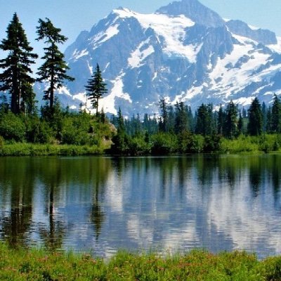 TechTekMau's profile picture. 