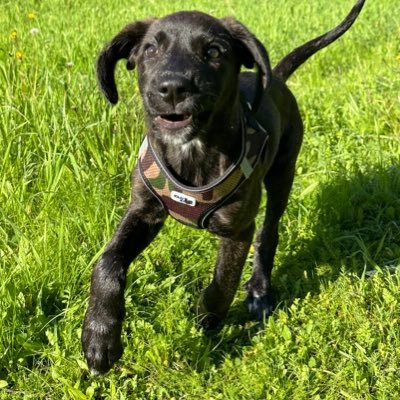 MartinezDamienn's profile picture. 