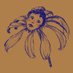 Anett0 (@17anett0) Twitter profile photo Anett0 (@17anett0) Twitter profile photo