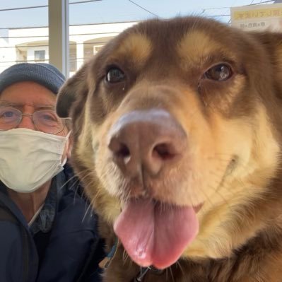 douglerner's profile picture. American, permanent resident of Japan, lives with hubby in Tokyo. Whole Food Plant Based. Dog owner. Please visit me at my blog.
