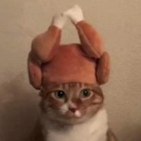๐๐๐ซ๐๐ ! (@permachilling) 's Twitter Profile