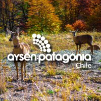 Aysen Patagonia (@aysenpatagonia_) 's Twitter Profile Photo Aysen Patagonia (@aysenpatagonia_) 's Twitter Profile Photo