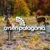 Aysen Patagonia (@aysenpatagonia_) Twitter profile photo Aysen Patagonia (@aysenpatagonia_) Twitter profile photo