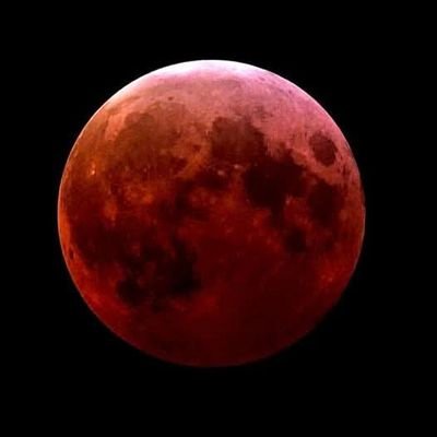 iwillswallowit's profile picture. 