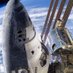 Reeve Musk (@reevemusk30795) Twitter profile photo Reeve Musk (@reevemusk30795) Twitter profile photo