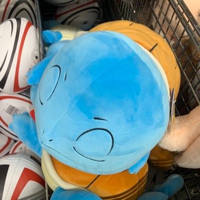 salcarnival's profile picture. generally tired | buddiemaxxing too close to the sun |🏴󠁧󠁢󠁳󠁣󠁴󠁿🇨🇴