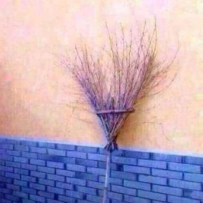 realWayneWade's profile picture. Marathon runner 🏃‍♂️ Master Zumba Instructor 💪Bomb Squad Volunteer 💣 Life Coach 🗣 Conspiracy Analyst 👽 The *Artificial* In Intelligence 🤸‍♂ I ❤️ #Bitcoin