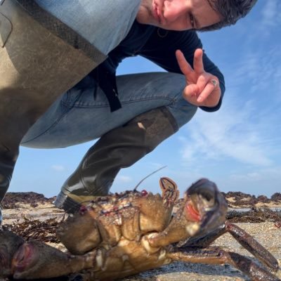 ThDcx's profile picture. ingé 💧 | cinéma | Farmer