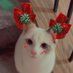 Definitely NOT Marcus Aurelius the Cat (@marcuscleoloaf) Twitter profile photo Definitely NOT Marcus Aurelius the Cat (@marcuscleoloaf) Twitter profile photo
