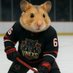 Main Hamster (@svampvnexs) Twitter profile photo Main Hamster (@svampvnexs) Twitter profile photo