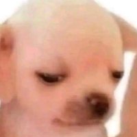 selling account (@flowerpwer69) Twitter profile photo