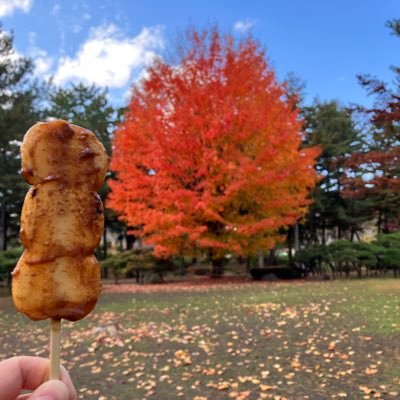 mariochamochi's profile picture. 