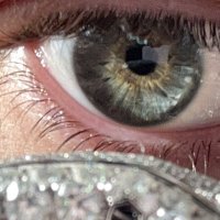 hayden (@hayden) 's Twitter Profile