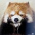 ももサブりん (@tamanimomo) Twitter profile photo ももサブりん (@tamanimomo) Twitter profile photo