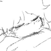drawz (@masterbuilderw) 's Twitter Profile