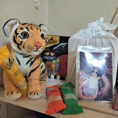 nyanschns's profile picture. 前のアカウントにログイン出来ず、新しく作りました
キリル一族が好きです。 サーシャちゃんとリキが大好きですが、やっぱり皆好きです。 素敵なお写真を沢山見せてくれてありがとうございます。
最近、とある方の写真でレッサーパンダにも興味がわいてます。