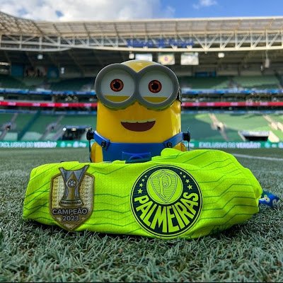 todossomosumSEP's profile picture. O intuito é criar uma corrente de boas energias, vibrações e positividade, amor incondicional e confiança no Palmeiras