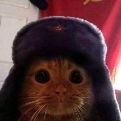 metdyg11's profile picture. 