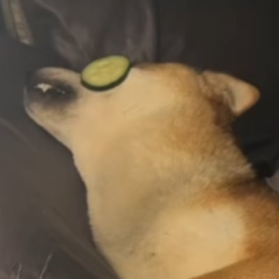 bbram22's profile picture. who do u think u are i am