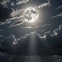 Mahmoud (@mahmoud82478311) 's Twitter Profile Photo Mahmoud (@mahmoud82478311) 's Twitter Profile Photo