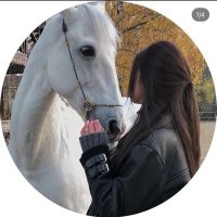 رغد الراجحي (@rghdalrajh8006) 's Twitter Profile