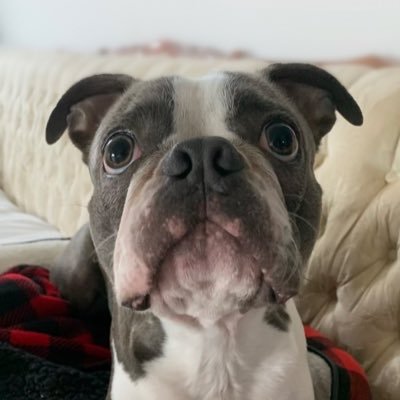 Hello my name is Hendrix and a have a dog named Judas I love the Seychelles 🇸🇨 and I live in Alberta and I just love the outdoors.