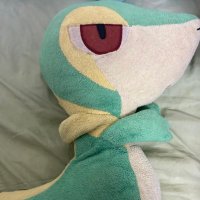 ぴたぱん (@b0mandaa) 's Twitter Profile