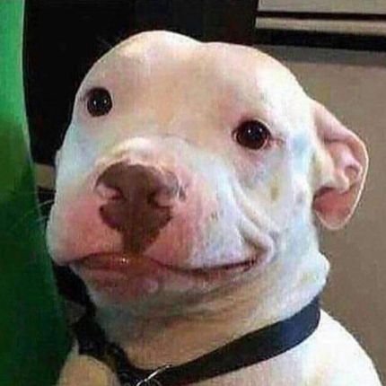 IBThinkin2000's profile picture. I trade stocks...you should too!  I'm not going to argue with people that are broker than me about money!