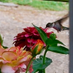 Jo Ann Greer (@redhead739298) Twitter profile photo Jo Ann Greer (@redhead739298) Twitter profile photo
