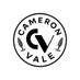 Cameron Vale (@plugandplay95) Twitter profile photo Cameron Vale (@plugandplay95) Twitter profile photo