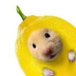 檸檬汁🍋 (@vickey3285) 's Twitter Profile