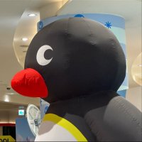 모코 (@yappi__iii) 's Twitter Profile