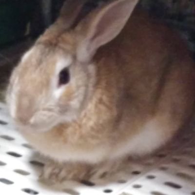 4sYN8W8qyUBuAlM's profile picture. RTでプレゼントキャンペーン好き！

エレキシード(LINEマンガオリジナル)   イチオシ漫画 とりあえず135話だけでも見て！