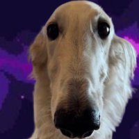 DMP (@dmpeee) 's Twitter Profile Photo