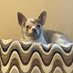 Marilynn Harrington (@marilynnha41631) Twitter profile photo Marilynn Harrington (@marilynnha41631) Twitter profile photo